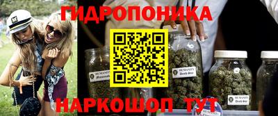 jwh Ставрополь