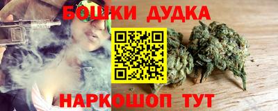 jwh Ставрополь