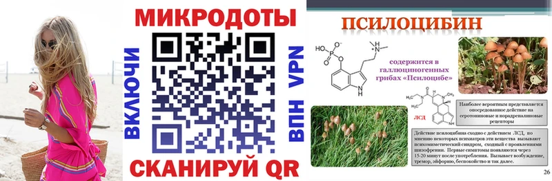 Псилоцибиновые грибы Psilocybine cubensis  закладки  Полысаево 