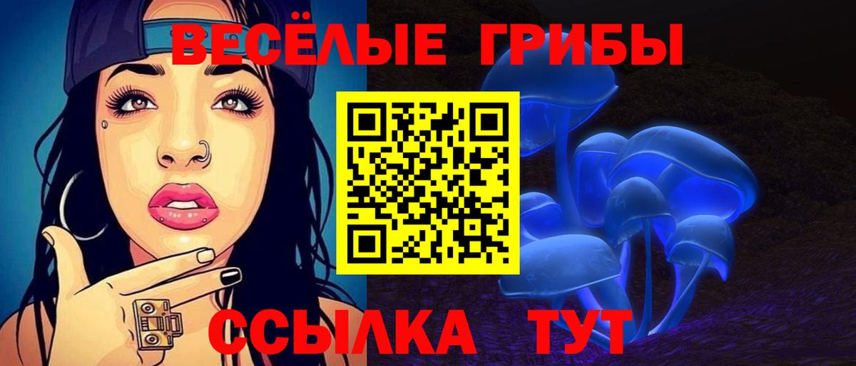 Галлюциногенные грибы мицелий  Вход с VPN  Полысаево 